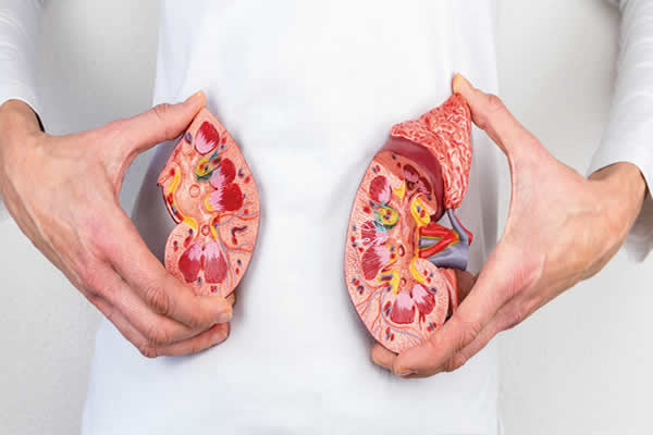 E Possivel Evitar Um Ataque Cardiaco