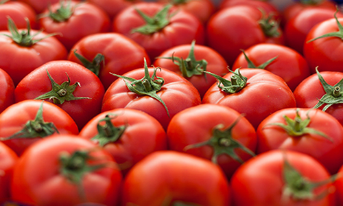 Os Beneficios Do Tomate Para Saude
