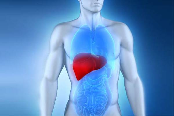 Sintomas De Problemas No Figado