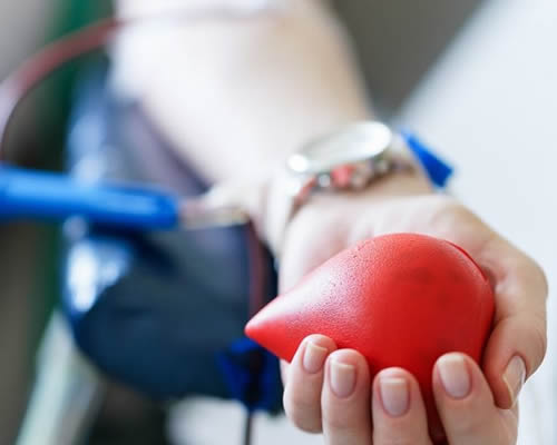 Quais são as pessoas que podem doar sangue?